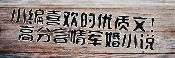 小編喜歡的優質文！高分言情軍婚小說